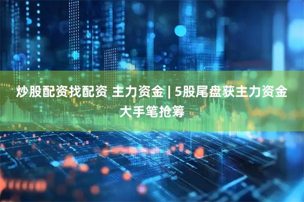 炒股配资找配资 主力资金 | 5股尾盘获主力资金大手笔抢筹